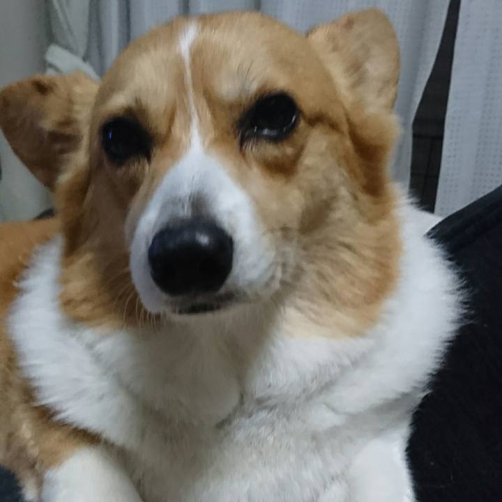 3dec018c 906d 4990 b6ef 11b601e65861 1556664641332