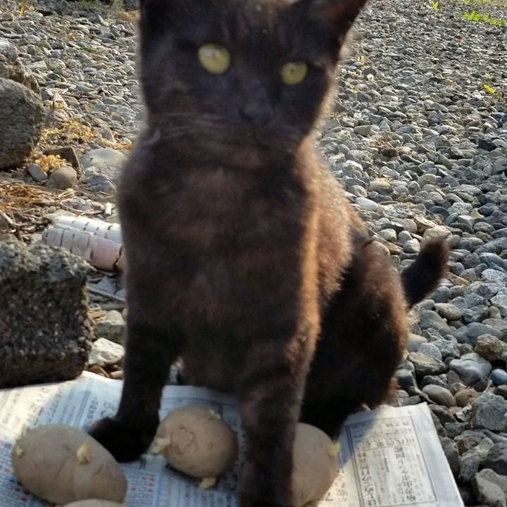 3dec2e99 3ba4 4503 9a23 0e3692a9797e 1653488736451