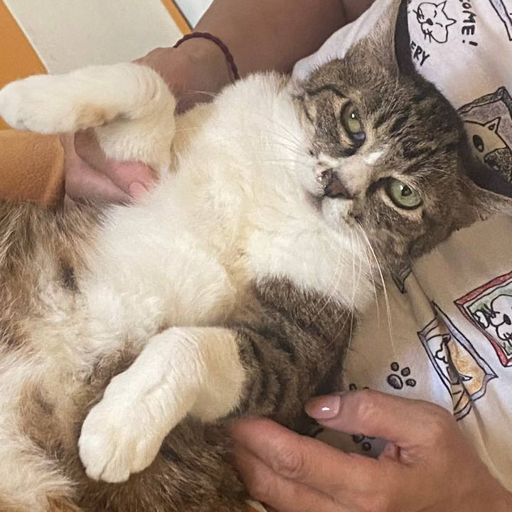 3dec467e 093b 4cca a141 fa4115623fd7 1720651547658