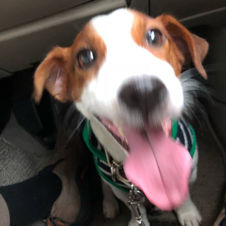 3dec73ab c21b 409d 811d 7560247f5db0 1538286255271