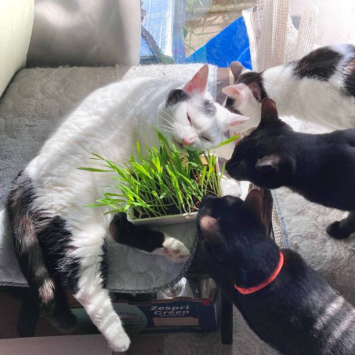 3dec780e 81f2 4300 a53c bd982cb0624a 1684305689487