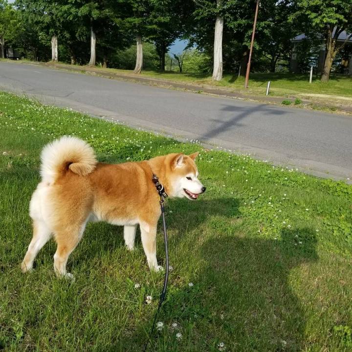 3dec8212 d46f 4a7f b6f8 0299c836b944 1591256545609