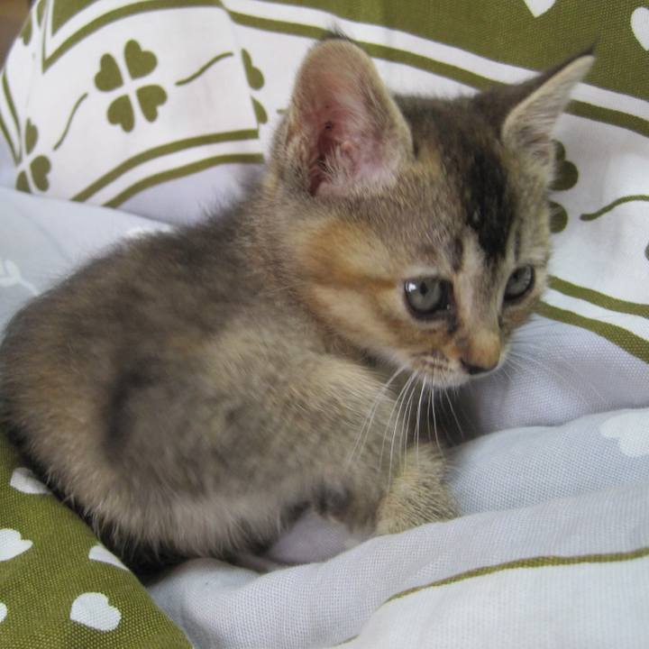 3dec8ad0 b613 4299 bec8 5b61422043cf 1614937908678