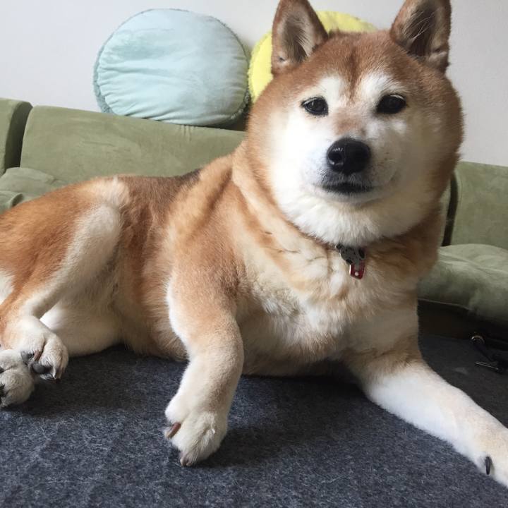 3dec9822 d051 4612 bb3f d23bbe2e1f6c 1522555261033