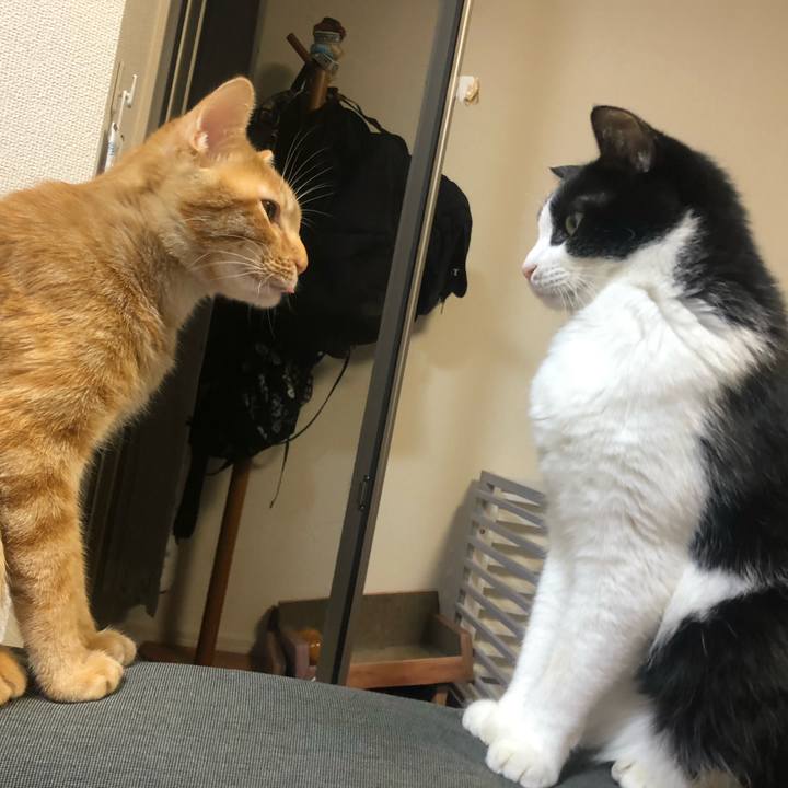 3dec9e0e 1af8 407c 958a 3047699e001a 1575123307632