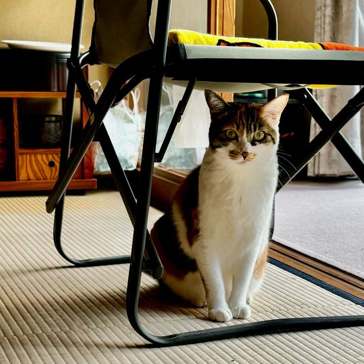 3deca899 7e12 4dc4 bc65 018c7a72fde3 1717585017271