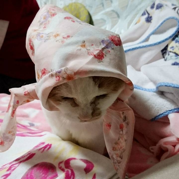 3dece18c 86ce 49df 8b0b 476c715effe4 1546686070164