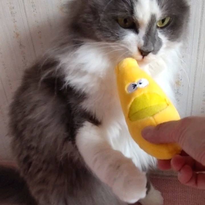 3decef97 2d57 4f06 a7ab d4fe921e19db 1650692991797