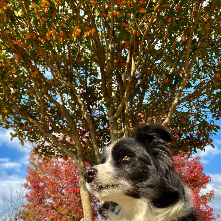 3ded1ef1 9613 4ee0 9049 431a6c8e398d 1635901692959