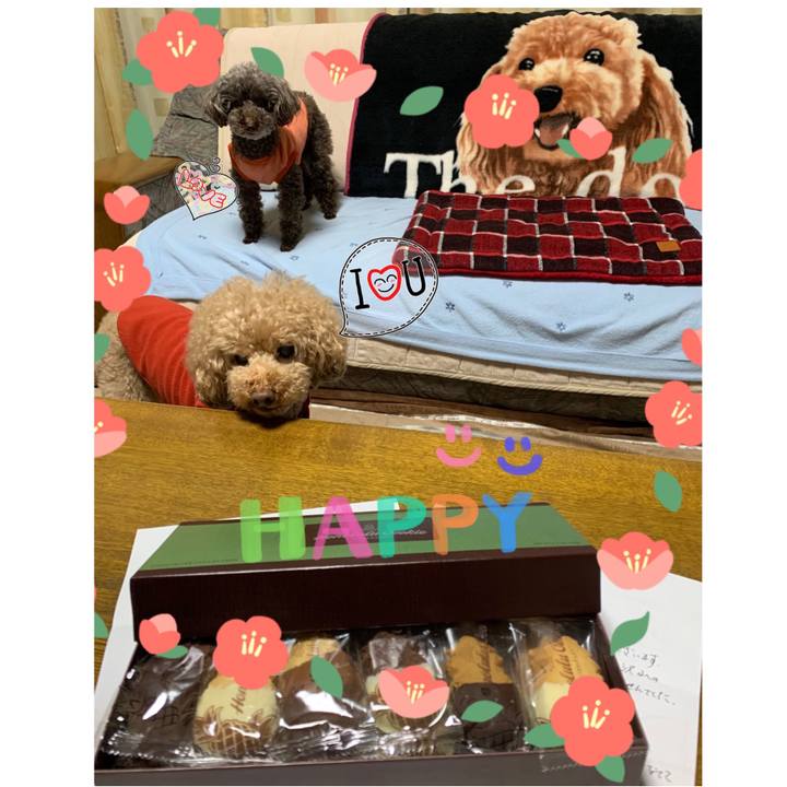 3ded6a01 3e06 45d7 bd32 ee64130c22a5 1579940240996