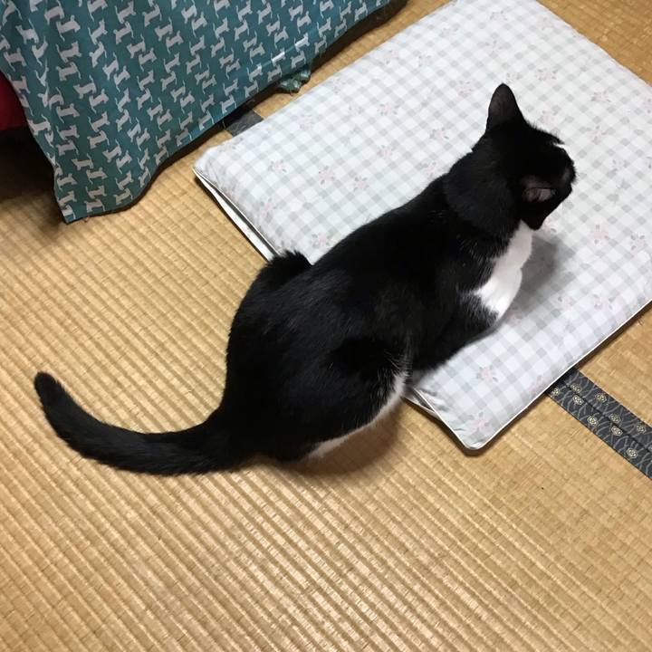 3ded6fd3 cc8b 4538 84f7 11b77cdb896e 1756457377300