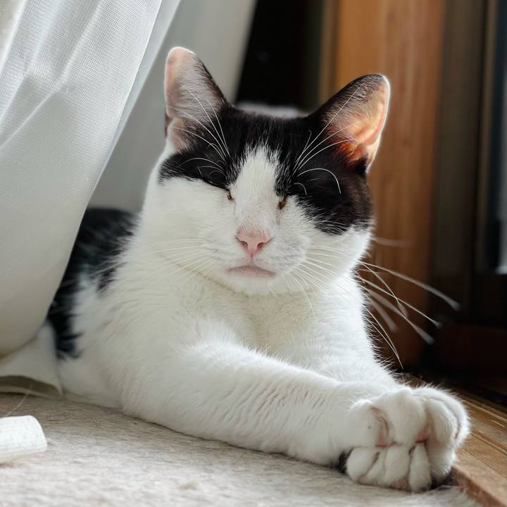 3ded9efa 5d9f 4671 8ea5 ad4a5e257da8 1634869767274