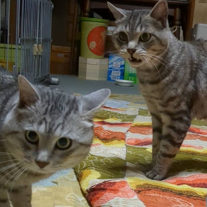 3dedeb37 1800 4fee ac89 99294933868f 1722353865328