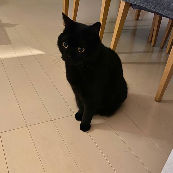 3dedfb5d bcae 4b09 9d2e 37c1f6bd64ed 1747054128259