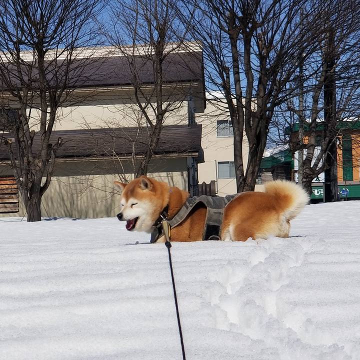 3dedfefe 9624 450c ab4f d3a48f5c083a 1647316343757