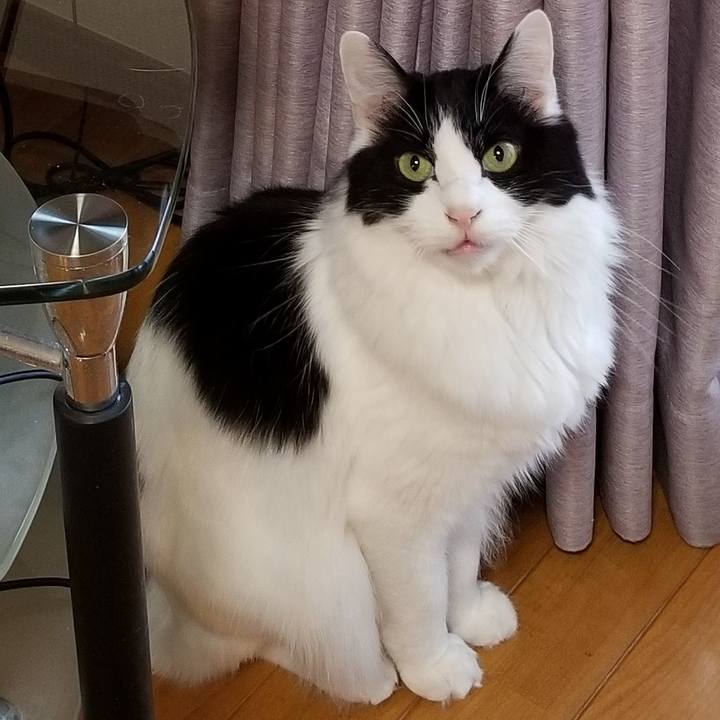 3dee03cd e430 41a1 a8c4 18b44ad42bcc 1584131410974