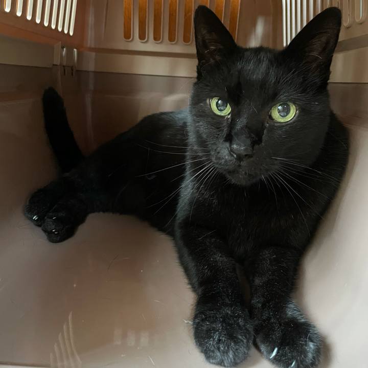 3dee2c52 b672 4954 b553 6eeffd7ec87f 1621132529869