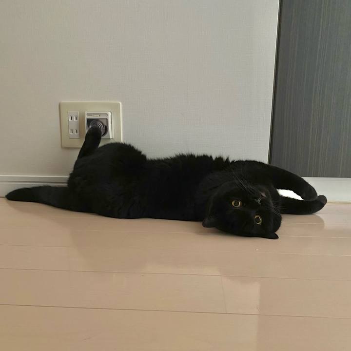 3dee3d39 c178 45f6 8e15 4f227cc7dd7d 1688027904815