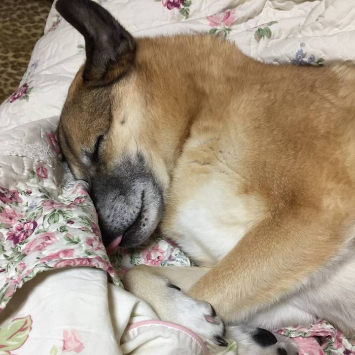 3dee46db 5cda 417e a622 c7869dcc7bd0 1519396815109