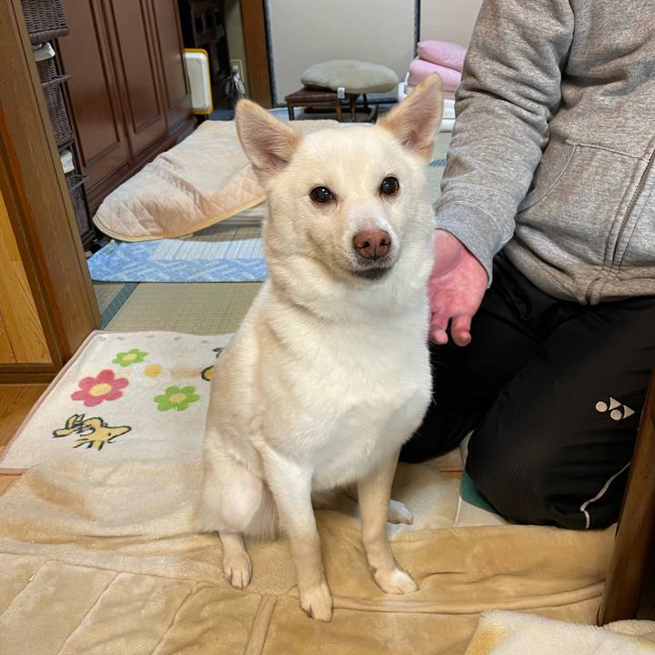 3deea37f 02c7 4ebc 8cc9 ede53b680d78 1647862414393