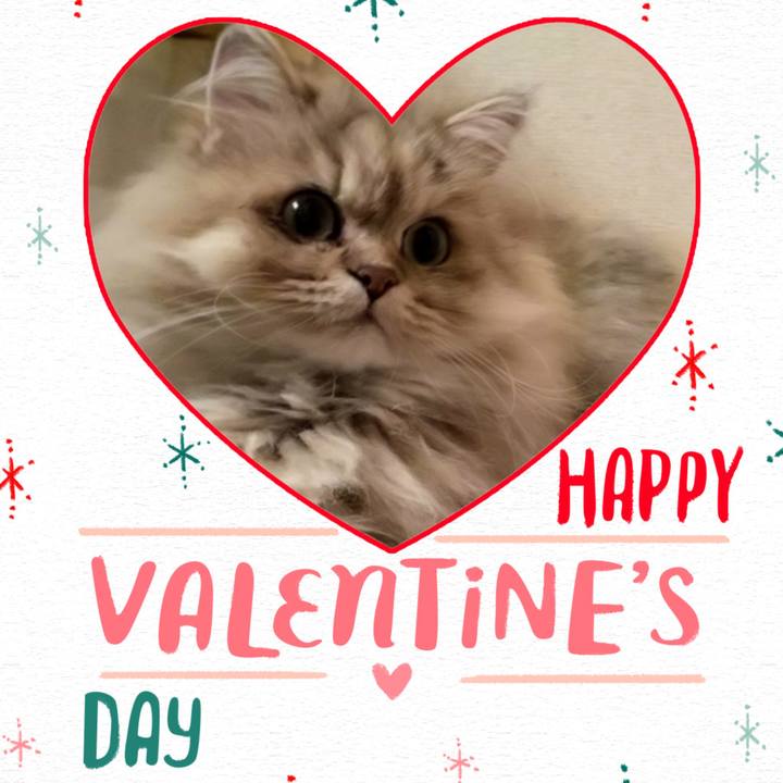 3deebae7 d14f 403c 86c7 29aa4523d050 1676364737314