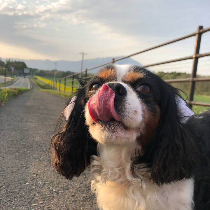 3deef32b 3495 4553 976e e5a5ca43a9eb 1557629057771