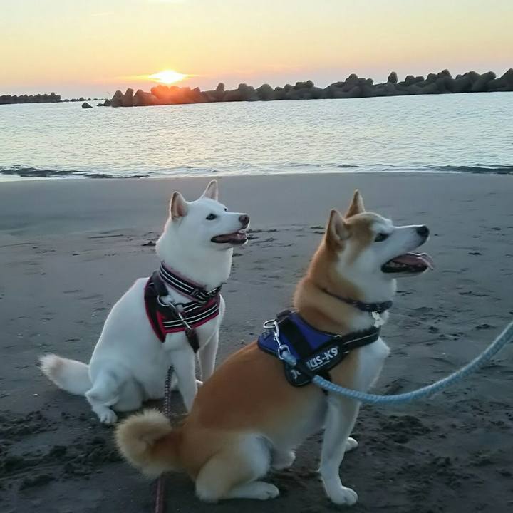 3def0045 dde6 42b9 a063 5b05dcebaa00 1531566071331