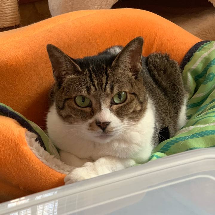 3def20f5 78c1 46ce a354 cded358dde23 1570150378190