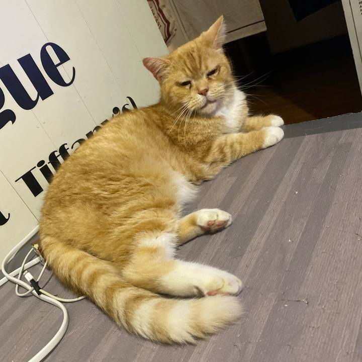 3def24aa a7c7 4016 9577 4db48d13f743 1658677876082