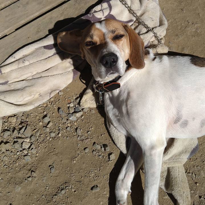 3def38a7 f77d 49a9 9aab 4844f22ab75e 1633414434135