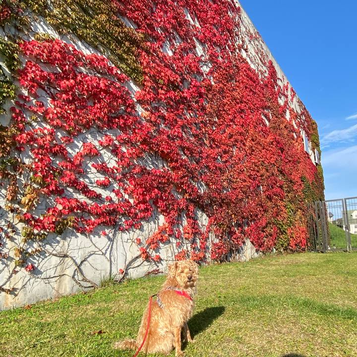 3def4d0d 3952 4dcd bf81 cbc224e5bbb4 1697325919597