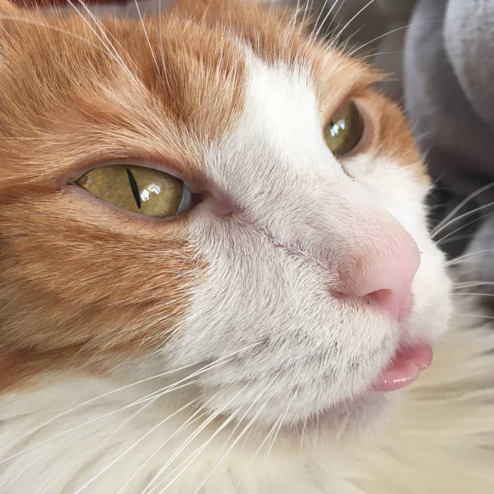 3defbcd0 597b 496c 92f9 5c9dde740a58 1575796051093