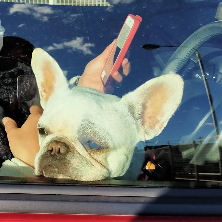 3defd845 8bbf 43fe 9045 757f02e24c30 1640817688968