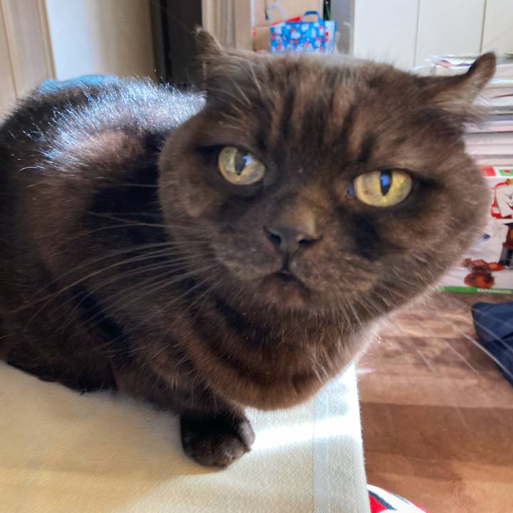 3defde1a 06ec 4842 b421 0eb38c417549 1608100046728