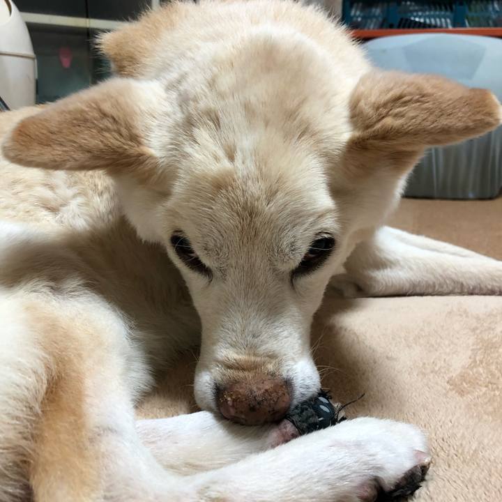 3defde33 8241 4f17 b436 46148c24eaff 1654180942827