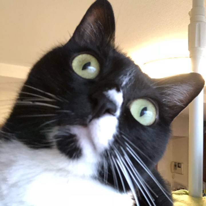 3deff3c1 5c0e 488b 92d5 1ddddc19b7bf 1509054275145