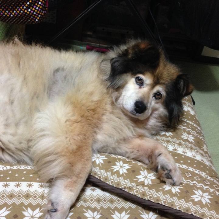 3deff6fe cc7e 441e 9887 488023805727 1548002198160