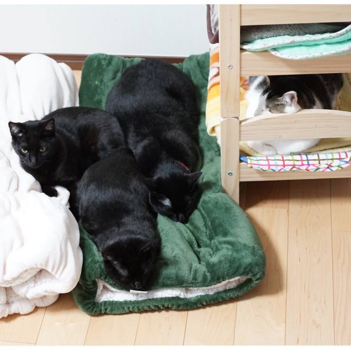 3df007b1 eca1 4d9f 9d3a c5e5d80d4725 1514158435137