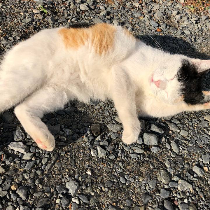 3df0173b 1574 48e5 8b18 c6b76aa3ddb0 1602976982737