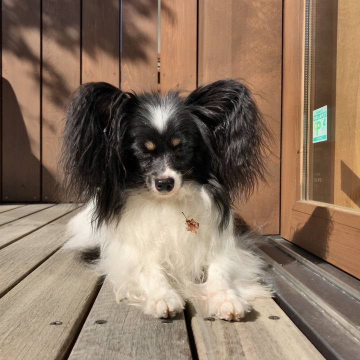 3df054f1 b07d 431c 8405 9eca726475fa 1540083267077