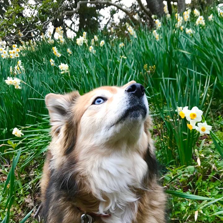 3df0c4ff e083 43bf 9f05 202bd6863bbf 1579963181932