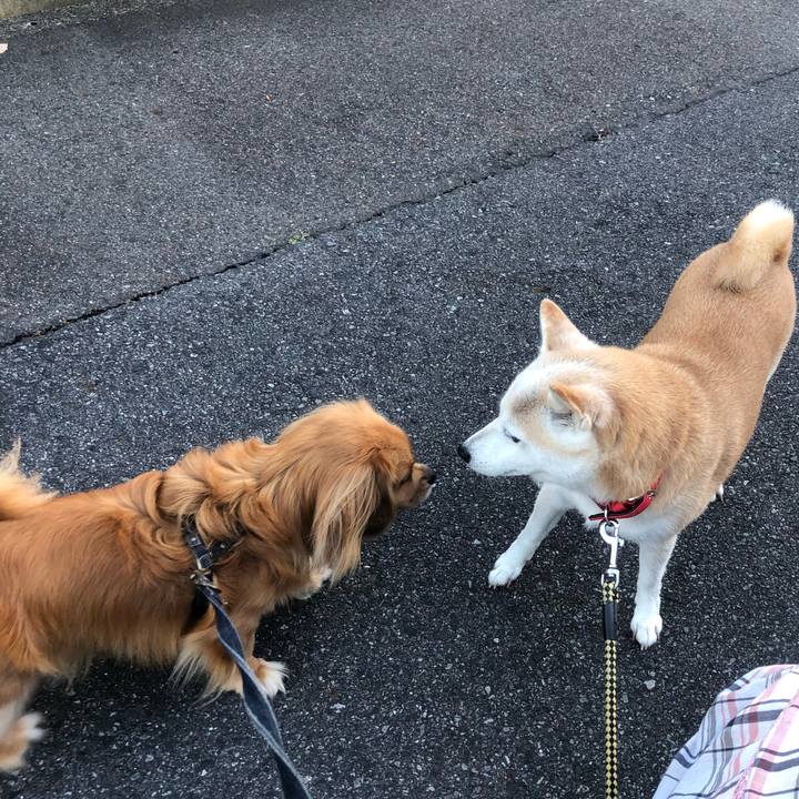 3df0cf13 a156 406e bac1 d13f994304d0 1534455447076