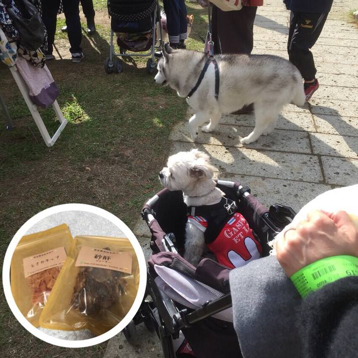 3df0e3eb 408d 4cf6 b999 b346a3cdf88b 1511349325066