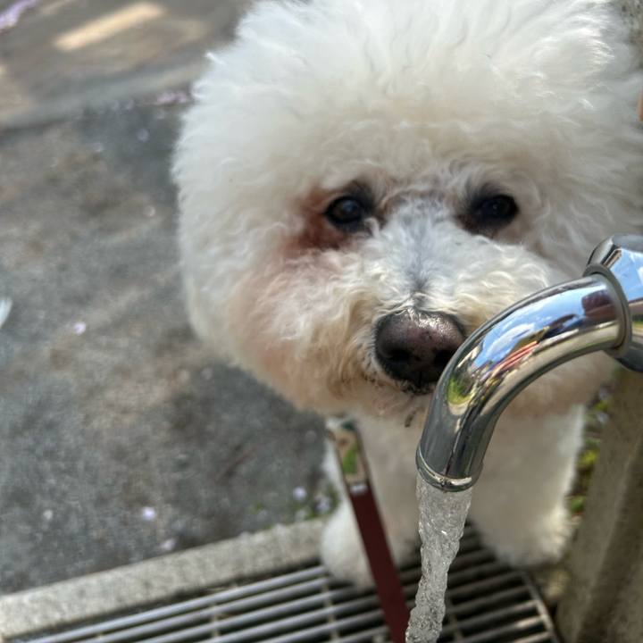 3df0e672 b40f 4420 9140 e2573f7b5125 1774860193962