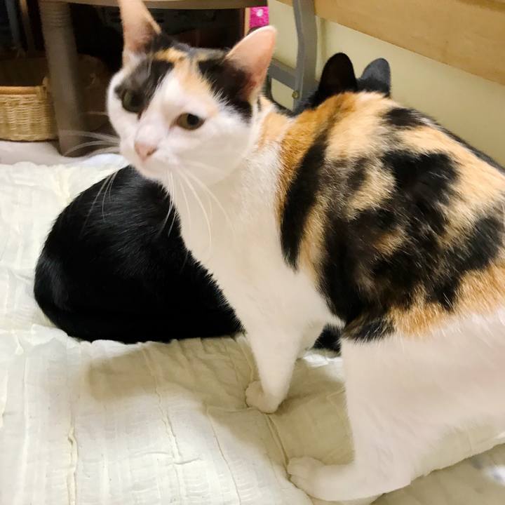 3df0f80a 23d4 4fcb 89da daef03d4a098 1508461971056