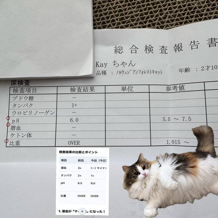 3df10971 3379 4a97 84fa 5811bb6f4108 1774401631674