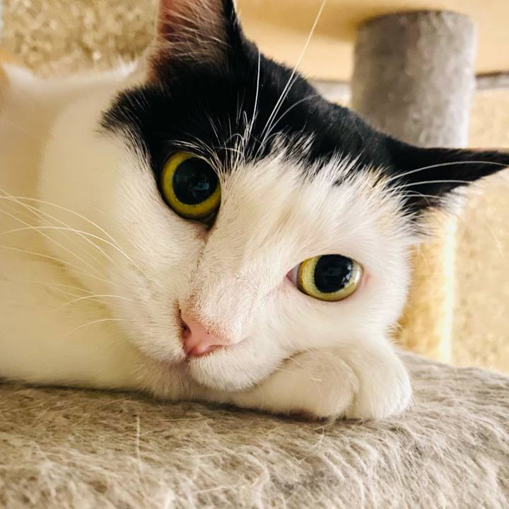 3df10cd8 9235 473b 8c82 2b429c158c70 1688138735022