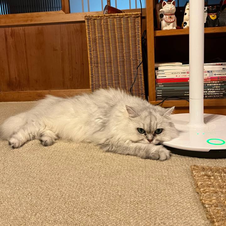 3df13070 6d58 44a6 bc3a 21dbfc855ad4 1660640433688