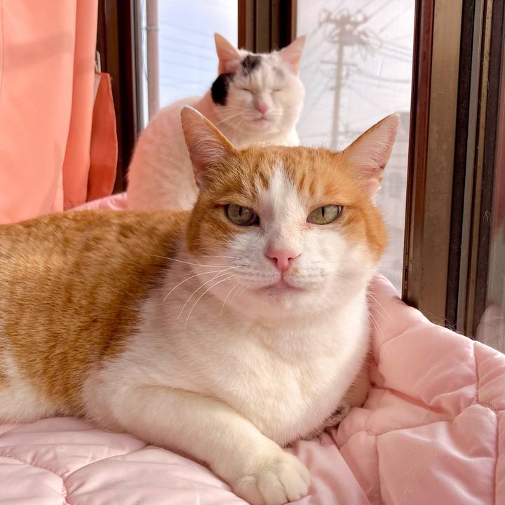 3df15e94 a004 4043 8542 c8c0bcdc63f1 1648019971898