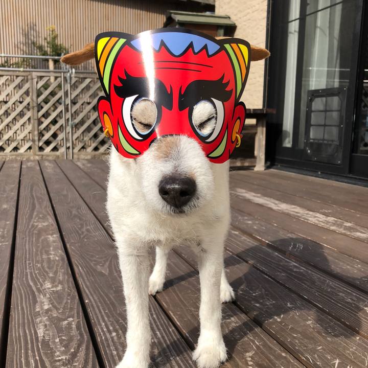 3df16381 dd77 498d 9554 ed4fa11ca378 1517641672060